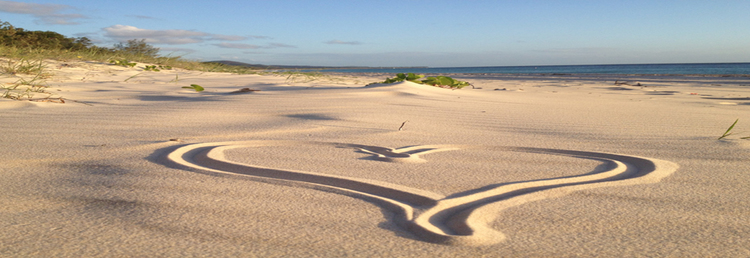 GET ON BOARD WITH MANIFESTING KEY DETAILS