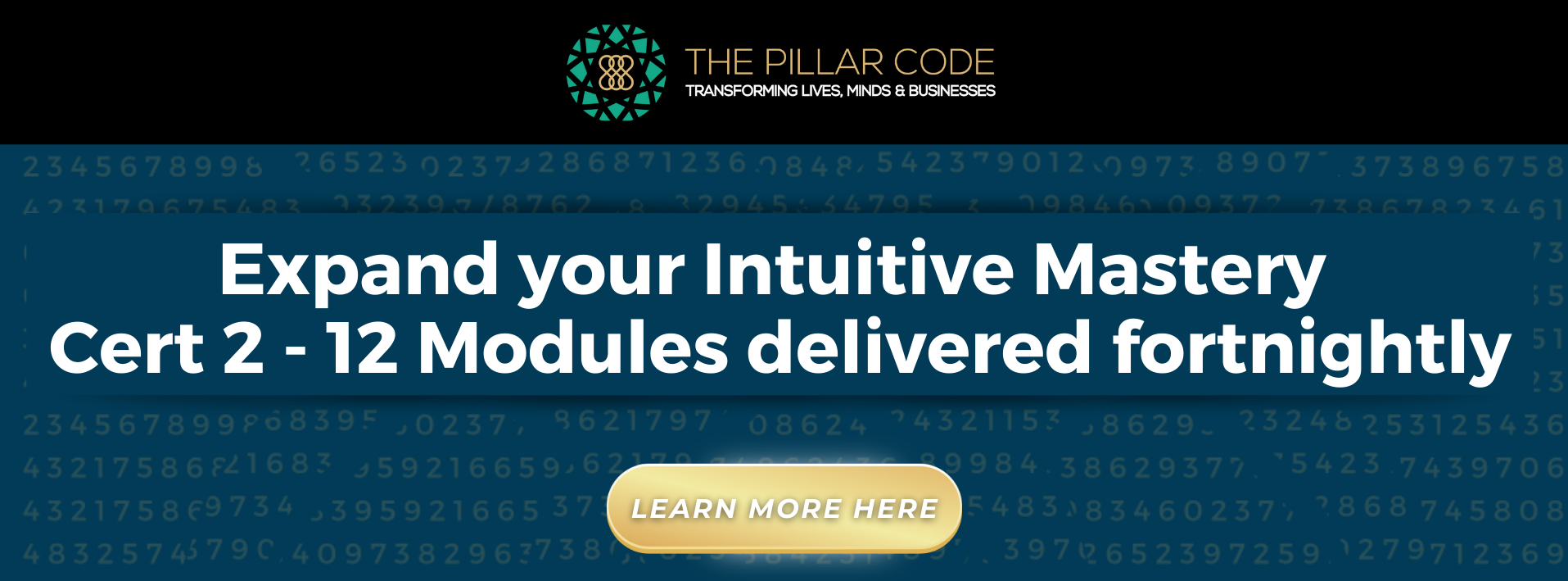 CERT 2 Intuitive Mastery Bannerv2 CERT 2 Intuitive Mastery Bannerv2